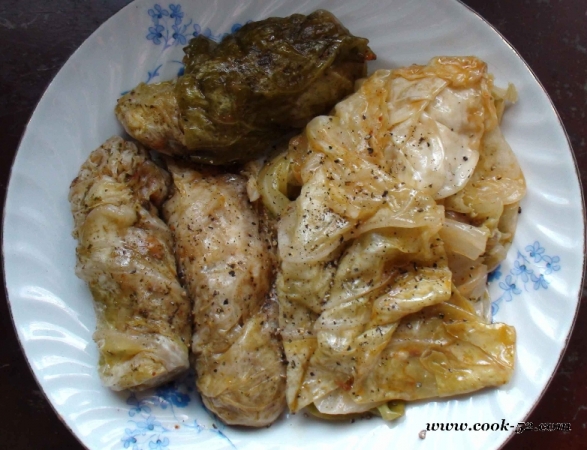 leaves-stuffed-with-ground-meat-and-cabbage-leaves-1